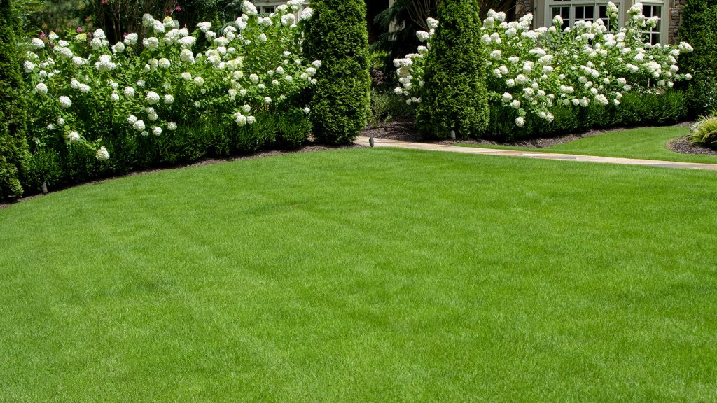 Lebanon lawn services