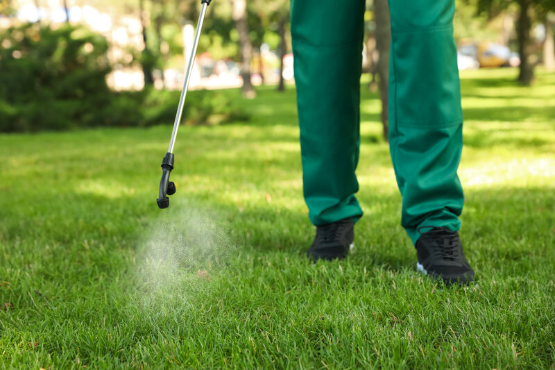 pest control for lawns